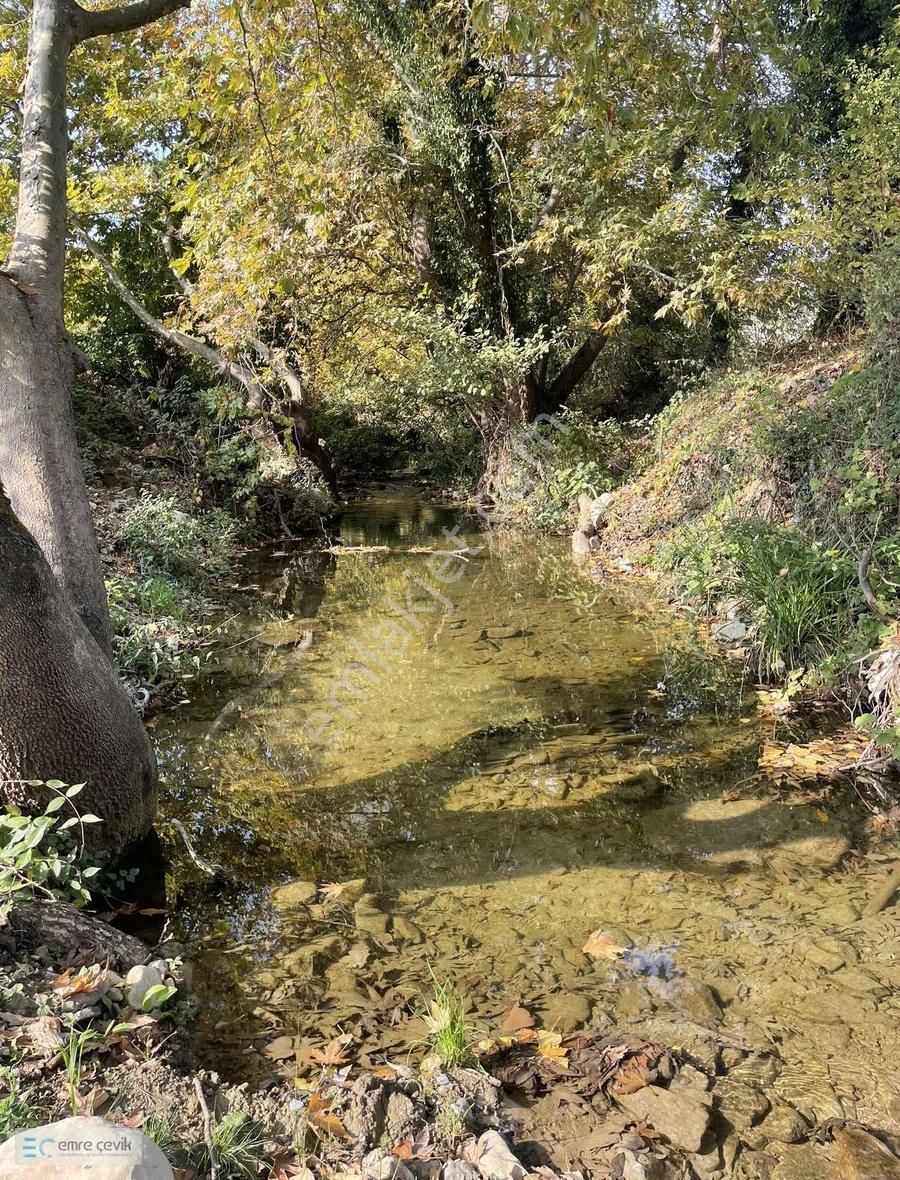 Emre Çevik'den Yenişehir Selimiye'de Hobi Bahçesi 2333m2 - Görsel 12