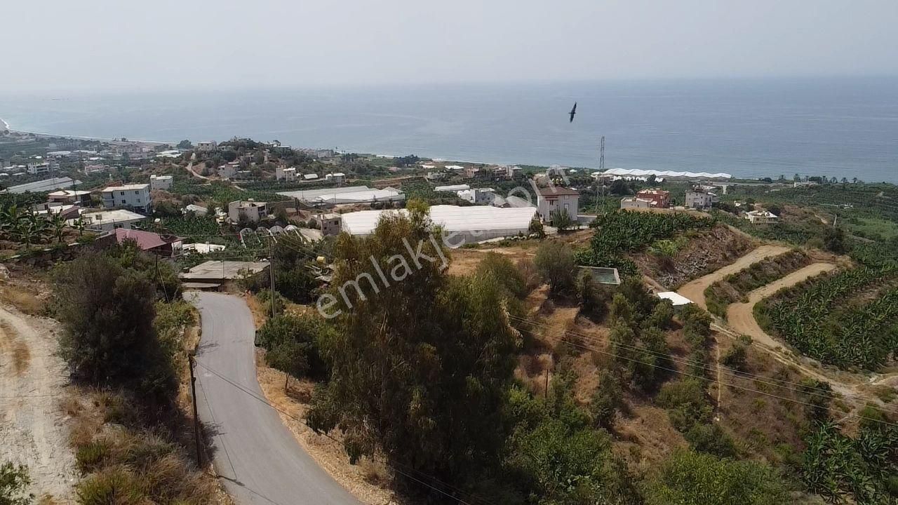 Alanya Sekı Mah. 1666 M2 Tarla - Görsel 14