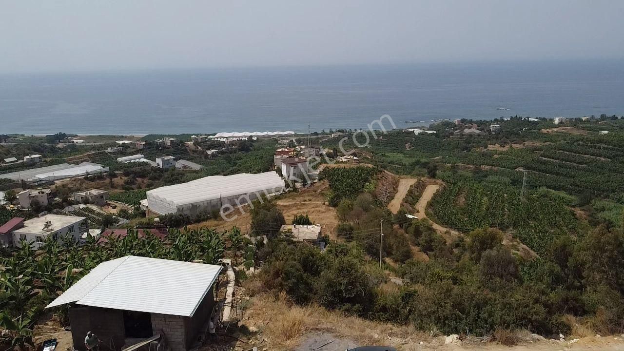 Alanya Sekı Mah. 1666 M2 Tarla - Görsel 2