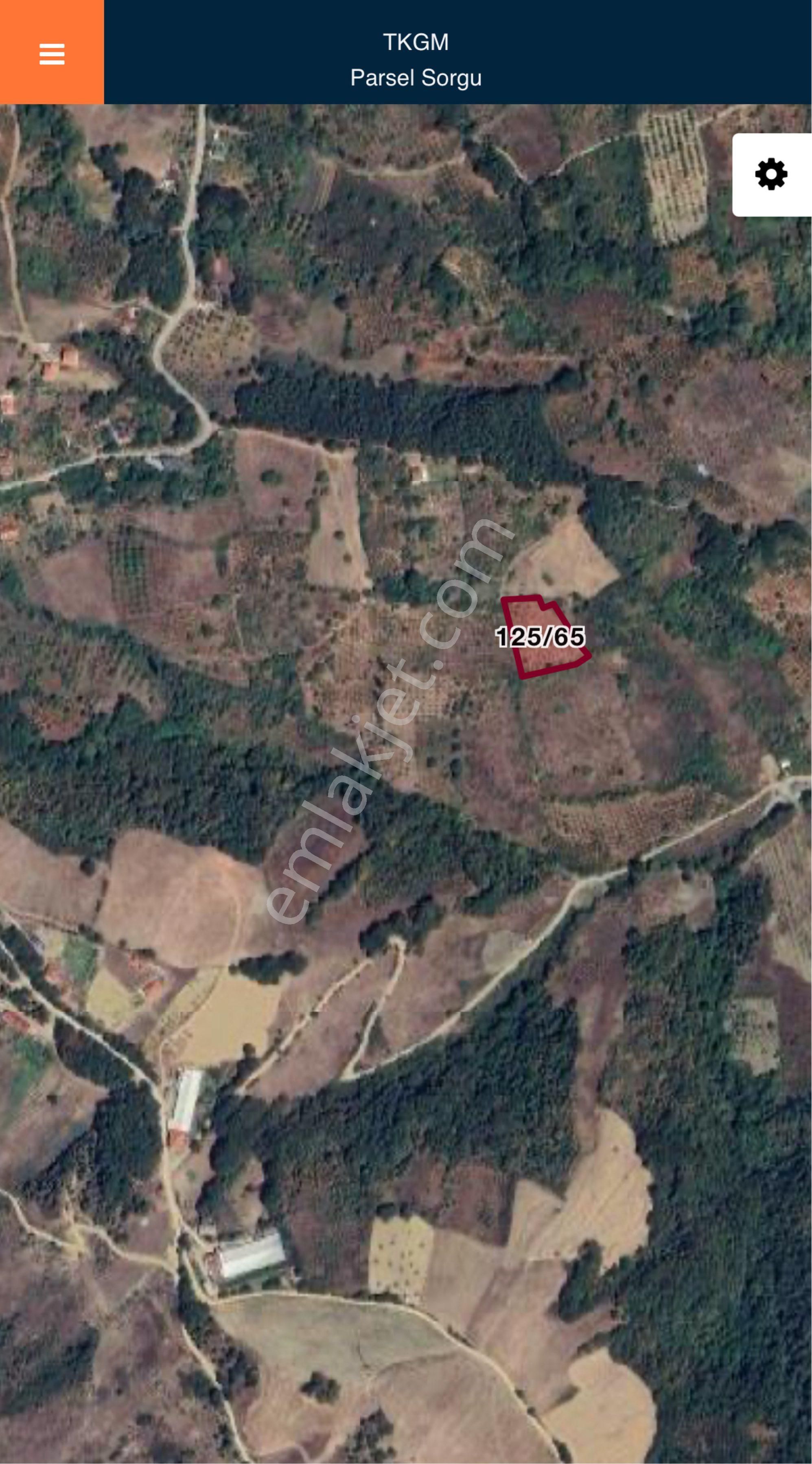 Sakarya Geyve’de Fırsat Yer - Görsel 2