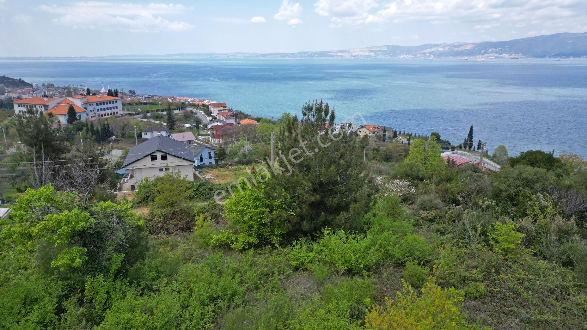 Kocaeli Gölcük A. Ulaşlı Satılık 3 Adet Deniz Mazaralı %25 Konut İmarlı Arsa - Görsel 8