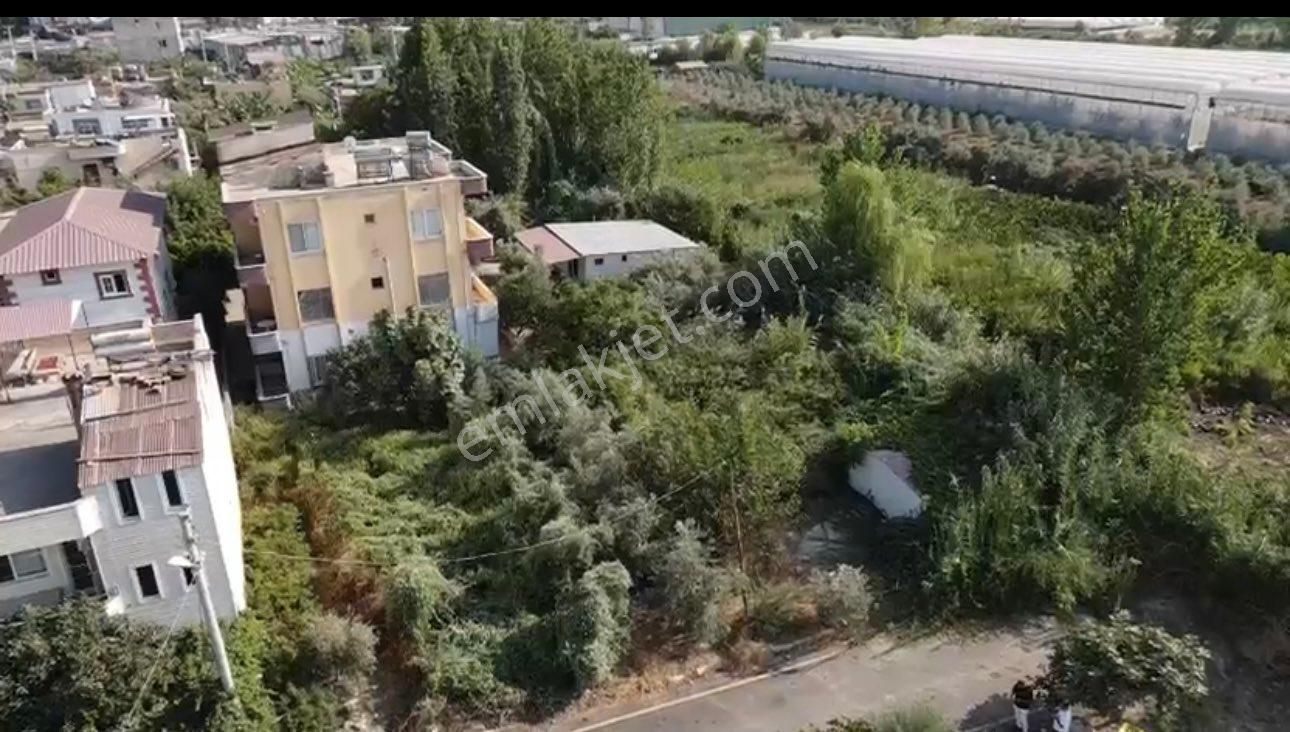 Erdemli Koyuncuda 623m² Arsa