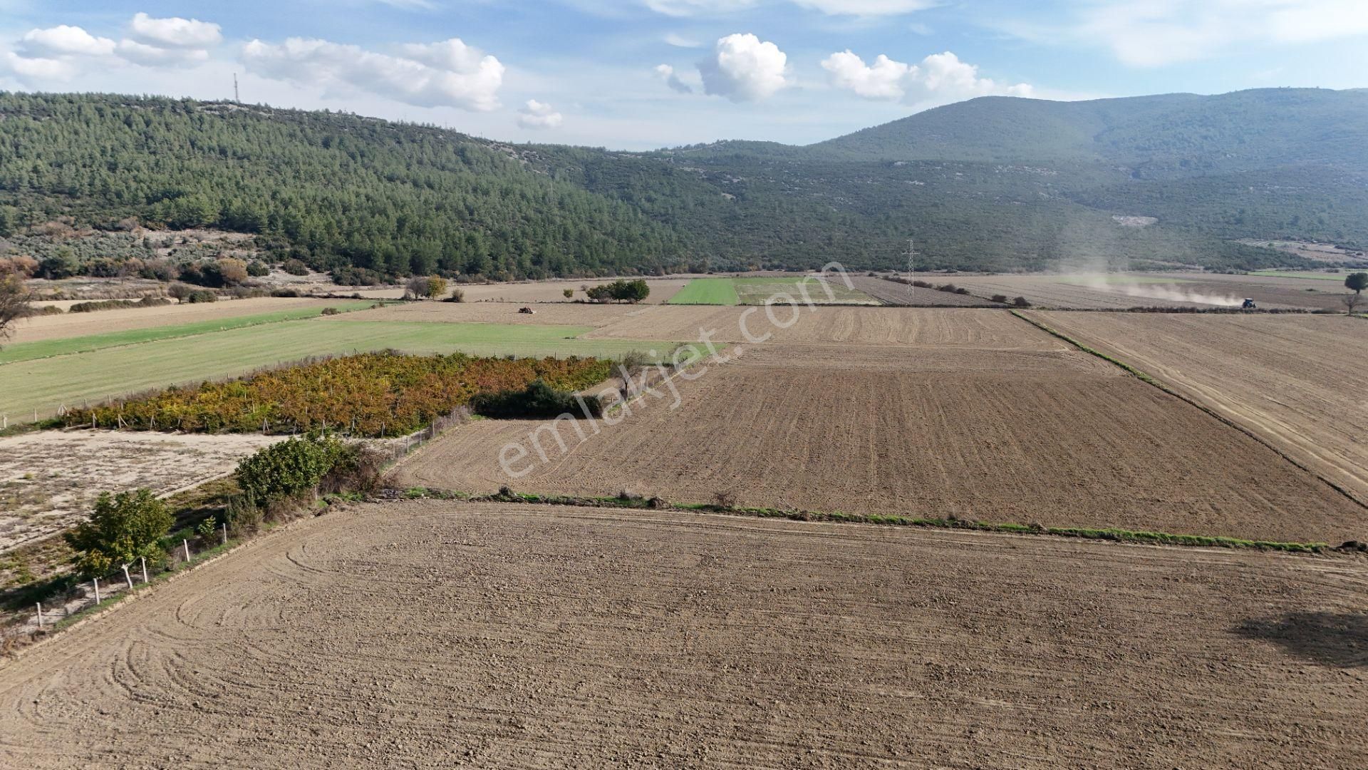 Muğla Menteşe Yeşilyurt Mah. Satılık 3.175 M2 Tarla - Görsel 2