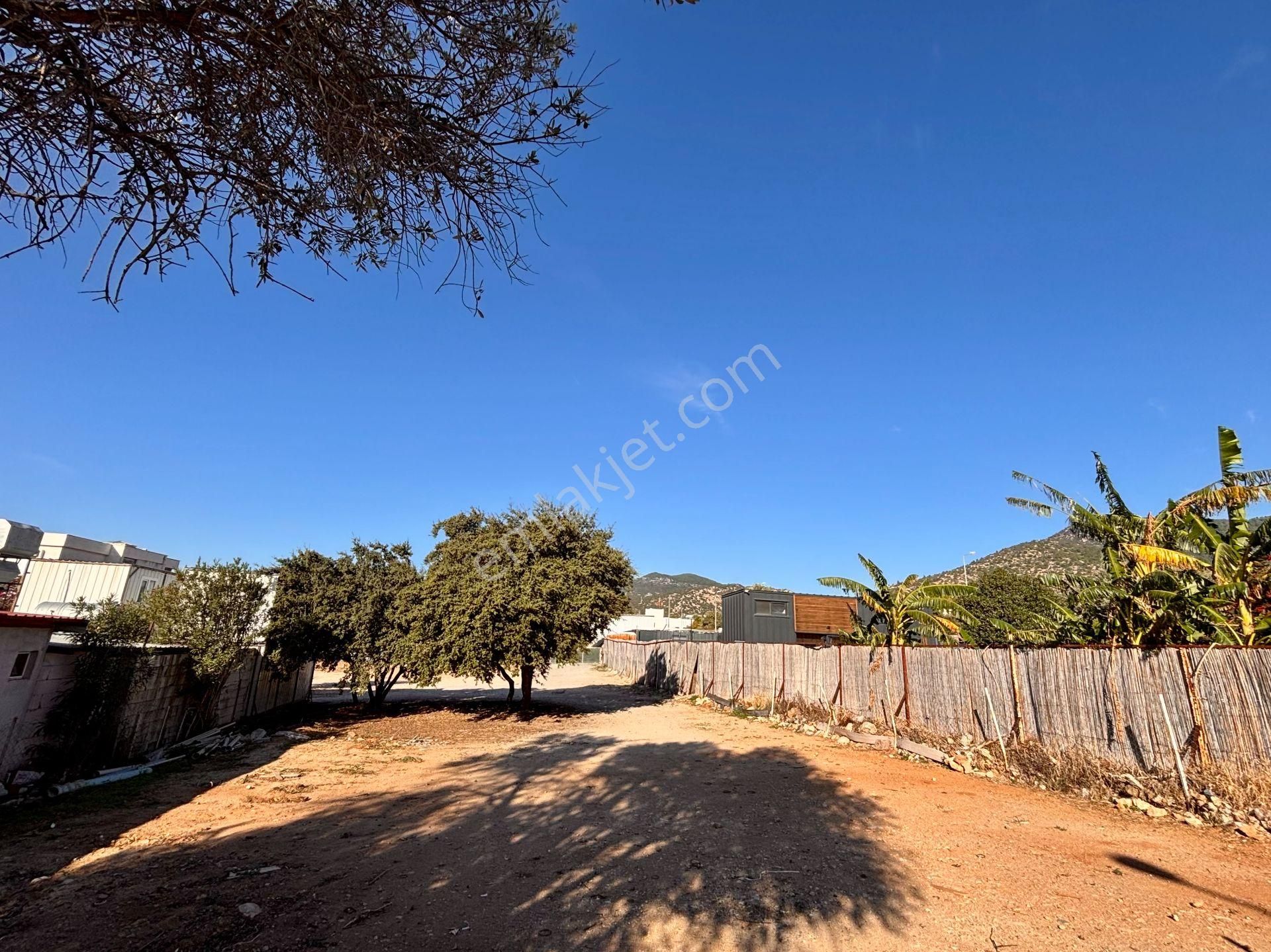 Konacık’ta Anayola 70 Metre Mesafede 1.488 M² Kiralık Arsa - Görsel 7