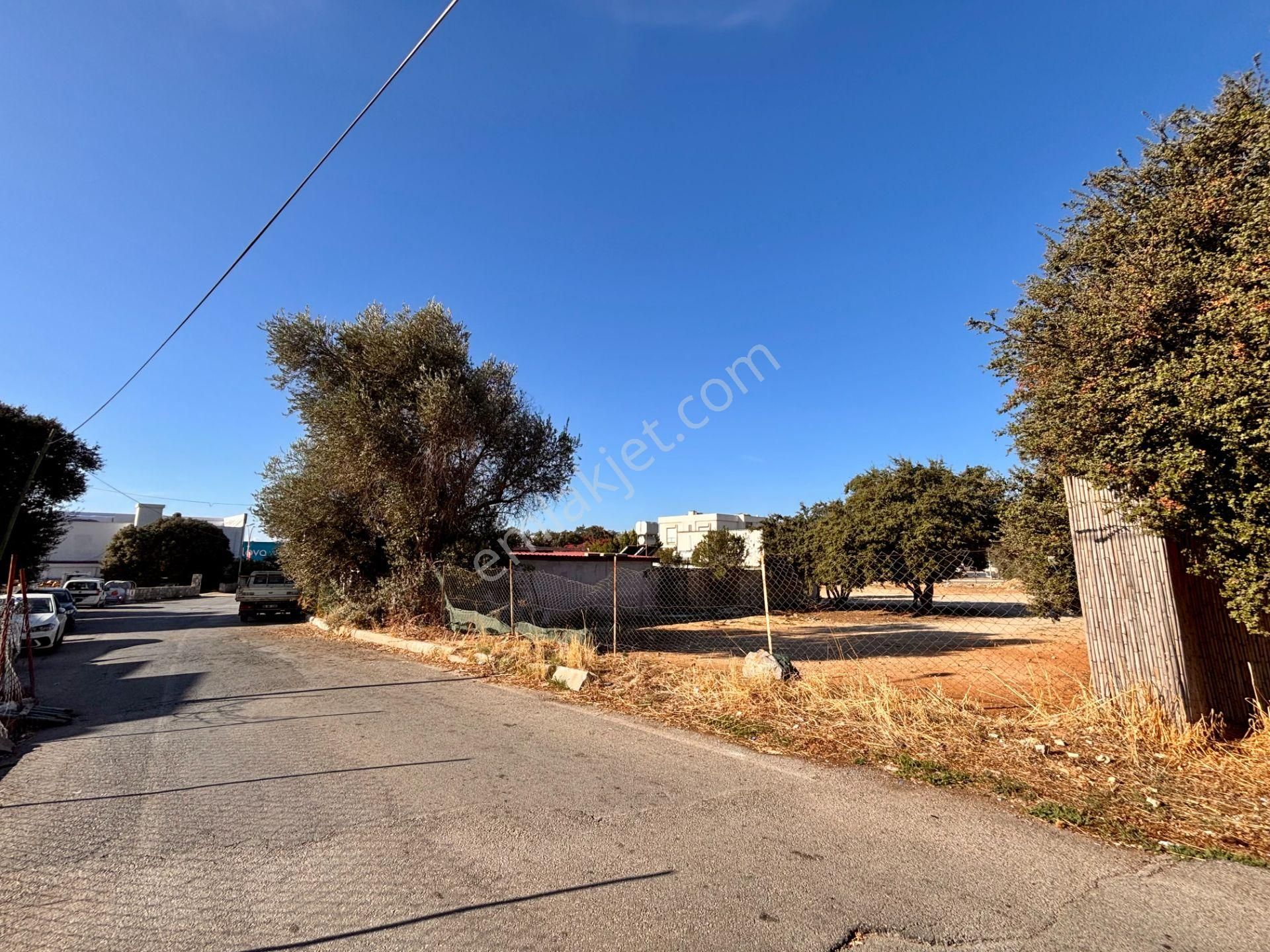 Konacık’ta Anayola 70 Metre Mesafede 1.488 M² Kiralık Arsa - Görsel 10