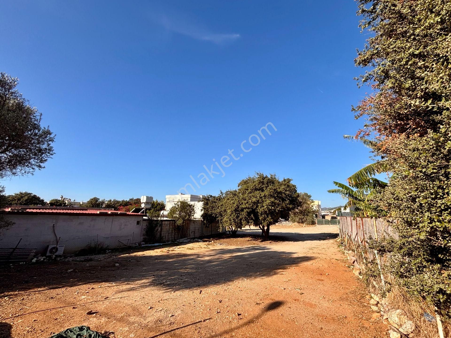 Konacık’ta Anayola 70 Metre Mesafede 1.488 M² Kiralık Arsa - Görsel 6