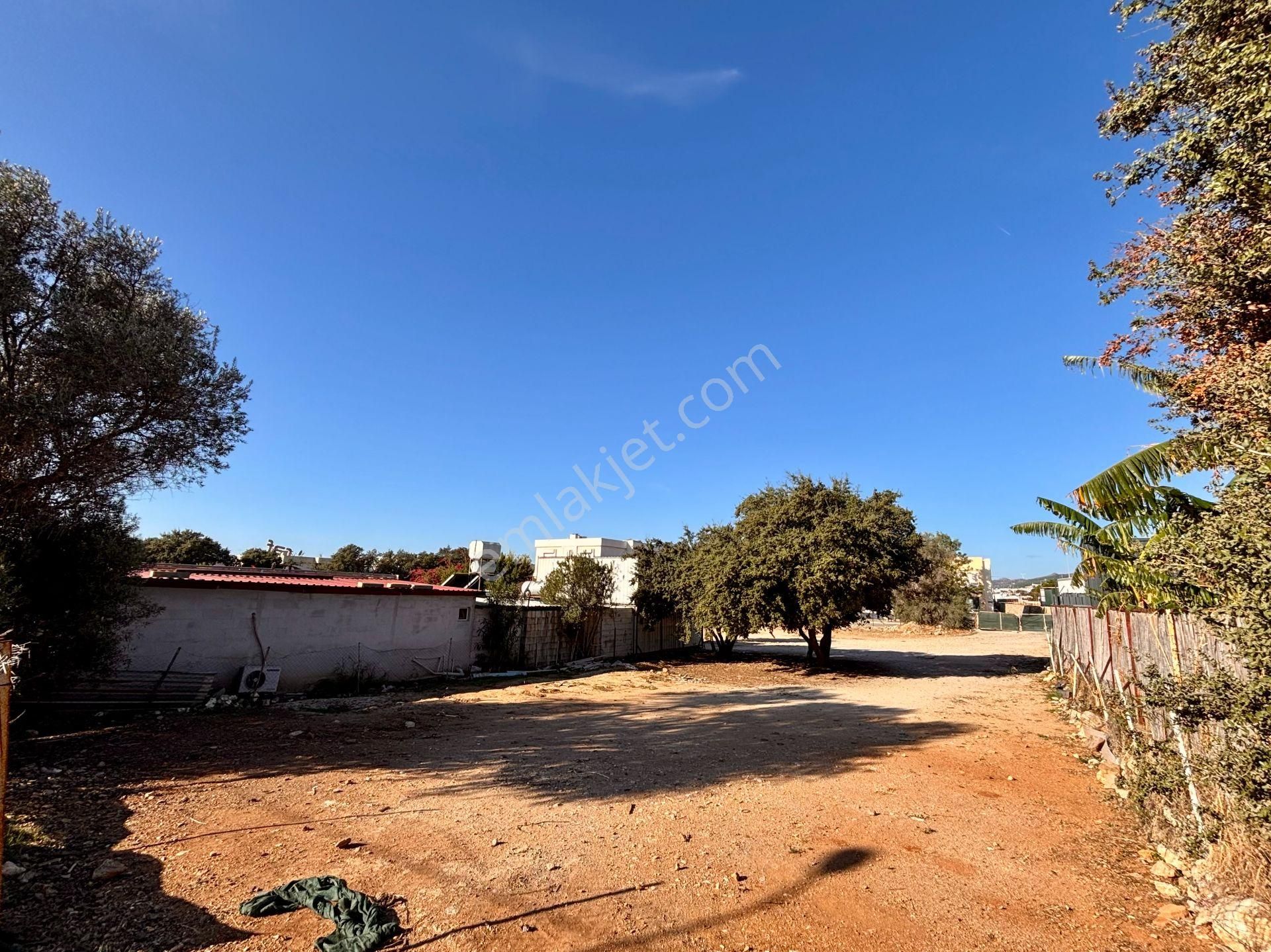 Konacık’ta Anayola 70 Metre Mesafede 1.488 M² Kiralık Arsa - Görsel 8