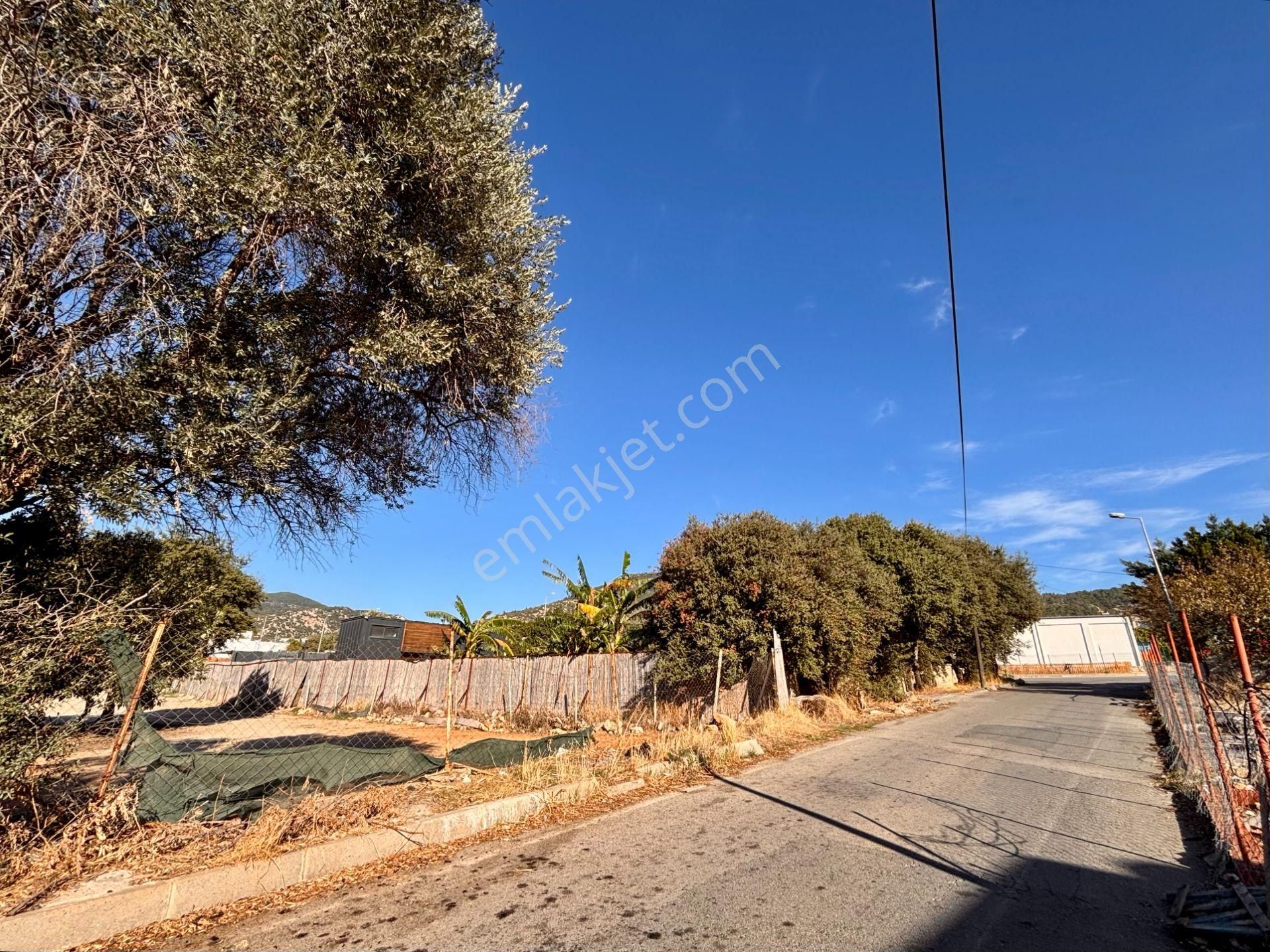 Konacık’ta Anayola 70 Metre Mesafede 1.488 M² Kiralık Arsa - Görsel 2