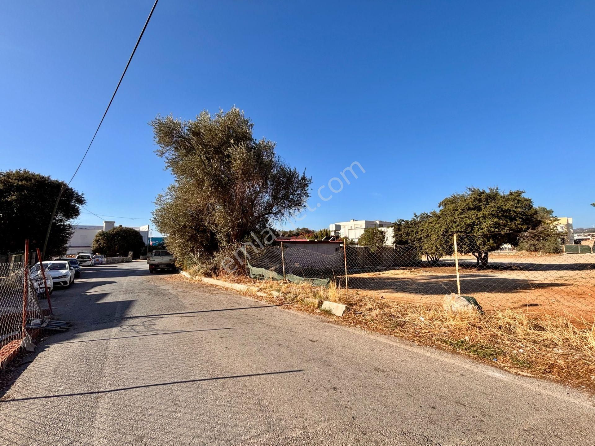 Konacık’ta Anayola 70 Metre Mesafede 1.488 M² Kiralık Arsa - Görsel 3