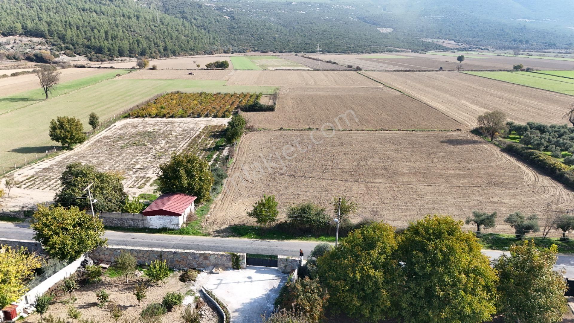 Muğla Menteşe Yeşilyurt Mah. Satılık 2.920 M2 Tarla - Görsel 4