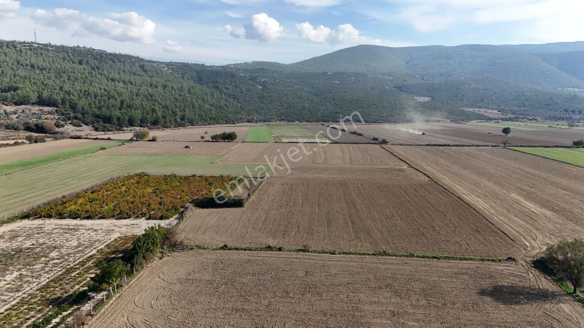 Muğla Menteşe Yeşilyurt Mah. Satılık 2.920 M2 Tarla - Görsel 3