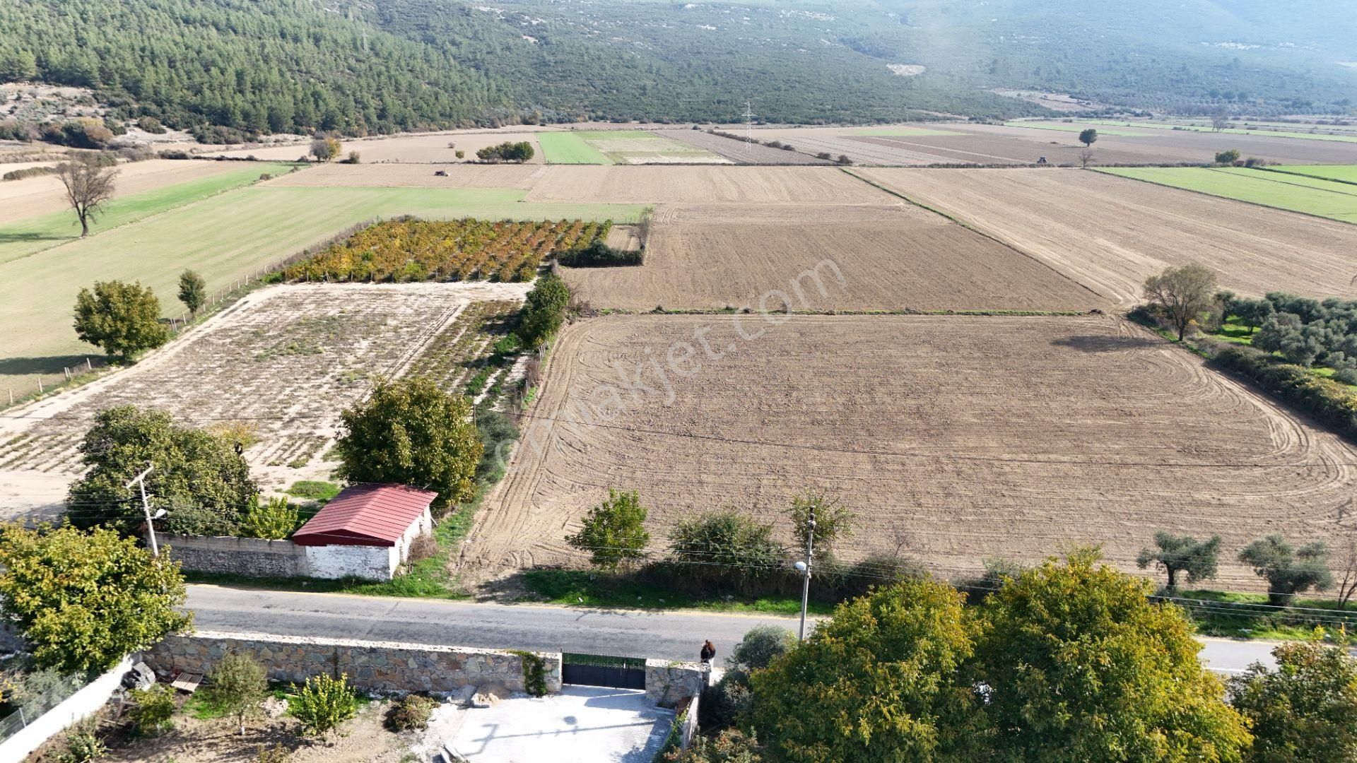 Muğla Menteşe Yeşilyurt Mah. Satılık 2.920 M2 Tarla - Görsel 5