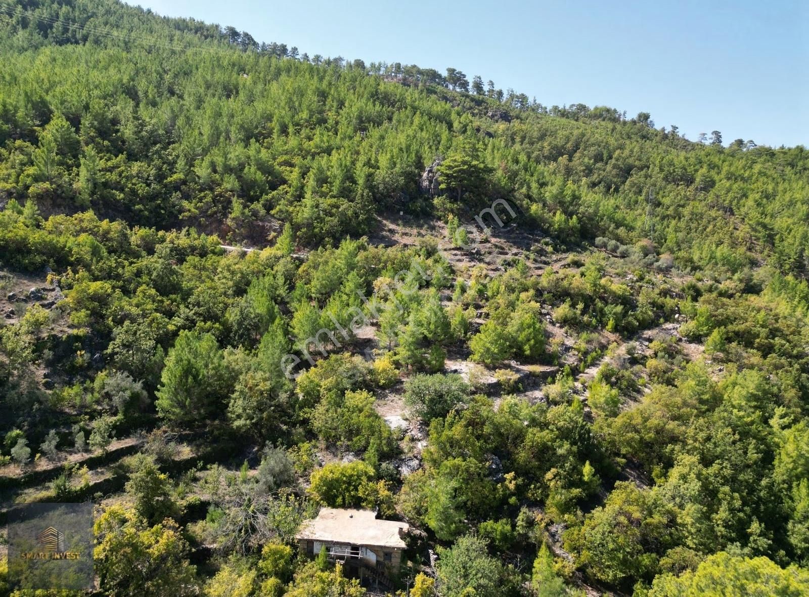 Acil Satılık Müstakil Tapu Antalya / Alanya Gümüşkavak Tarla - Görsel 3