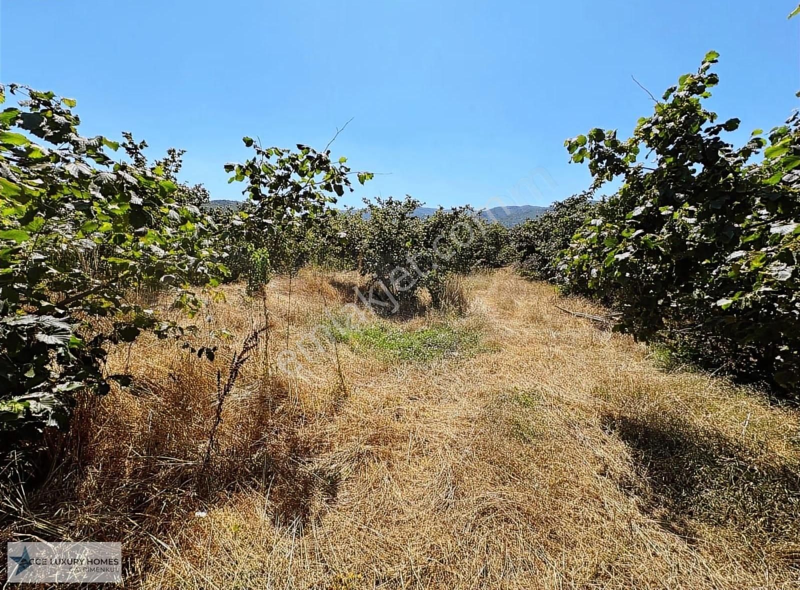 Acce Luxury Homes'tan Sakarya Arifiye'de Satılık Arsa - Görsel 5