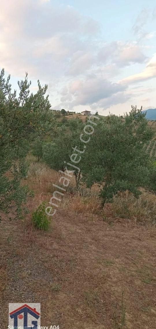 Tezcan Gayrimenkul'den Sakarya/geyve/doğantepe Köyünde Yatırımlık Bağ. - Görsel 6