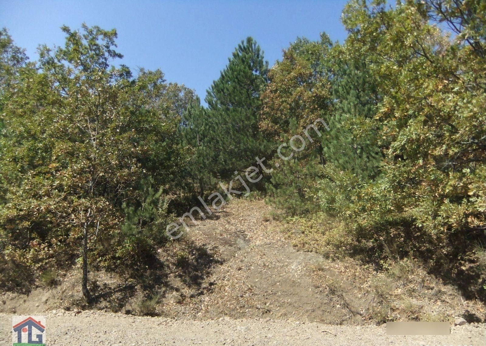 İznik/osmaniye Köyünde Satılık 3487m2 Ve 8067m2 Tarlalar. - Görsel 11