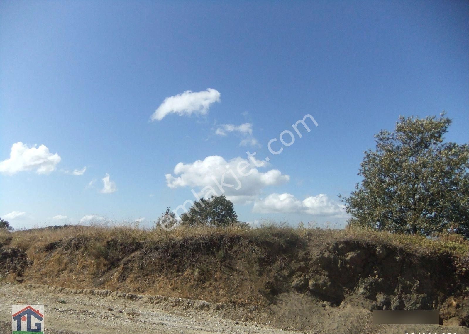 İznik/osmaniye Köyünde Satılık 3487m2 Ve 8067m2 Tarlalar. - Görsel 12