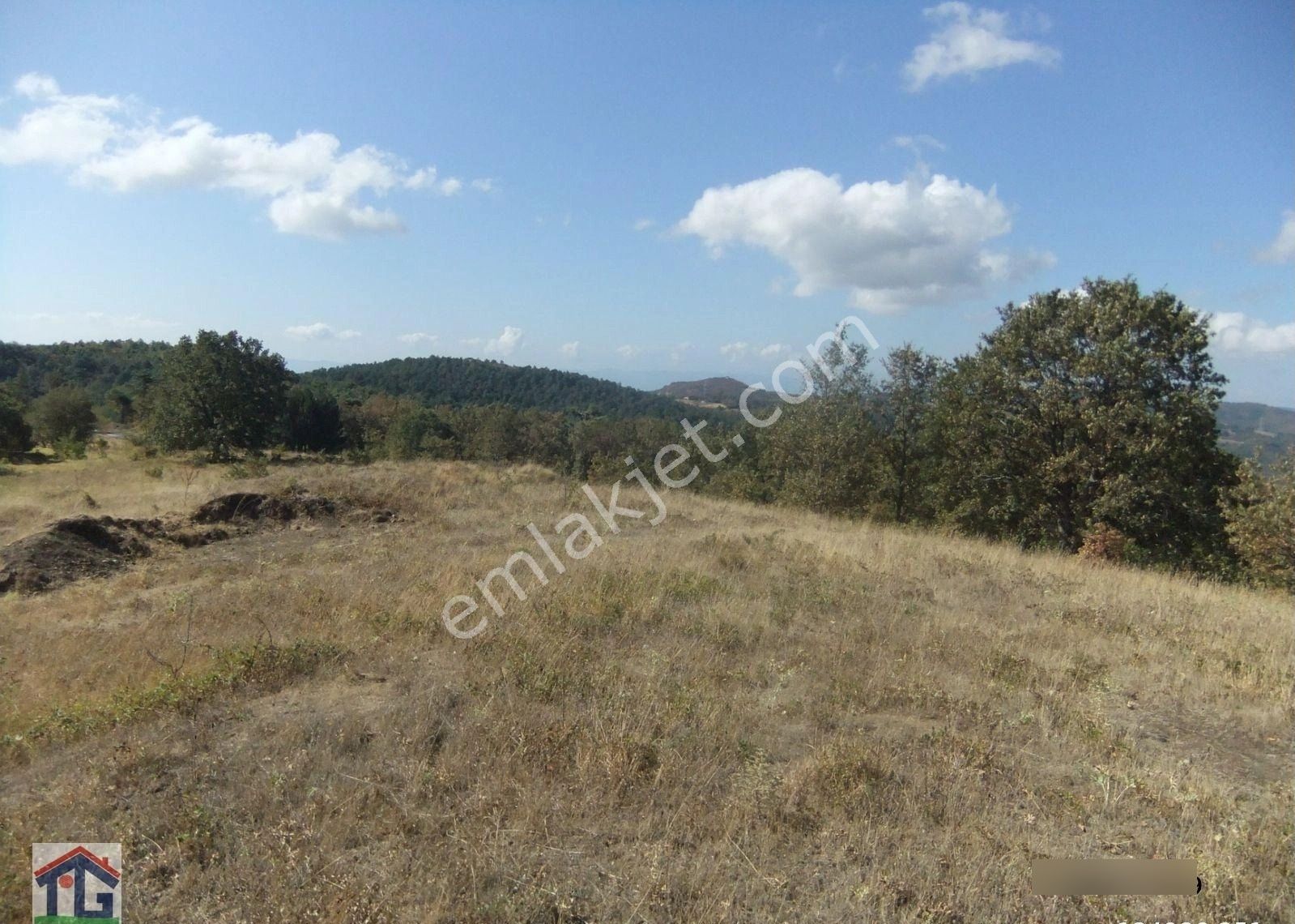 İznik/osmaniye Köyünde Satılık 3487m2 Ve 8067m2 Tarlalar. - Görsel 8