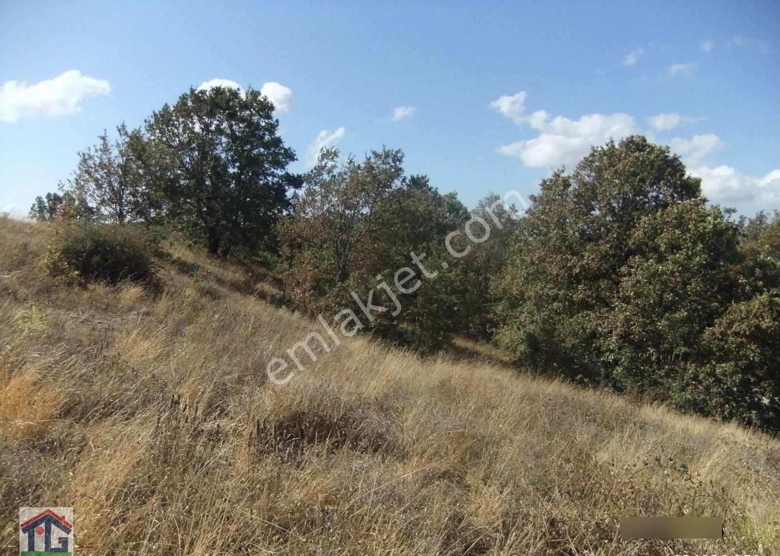 İznik/osmaniye Köyünde Satılık 3487m2 Ve 8067m2 Tarlalar. - Görsel 2