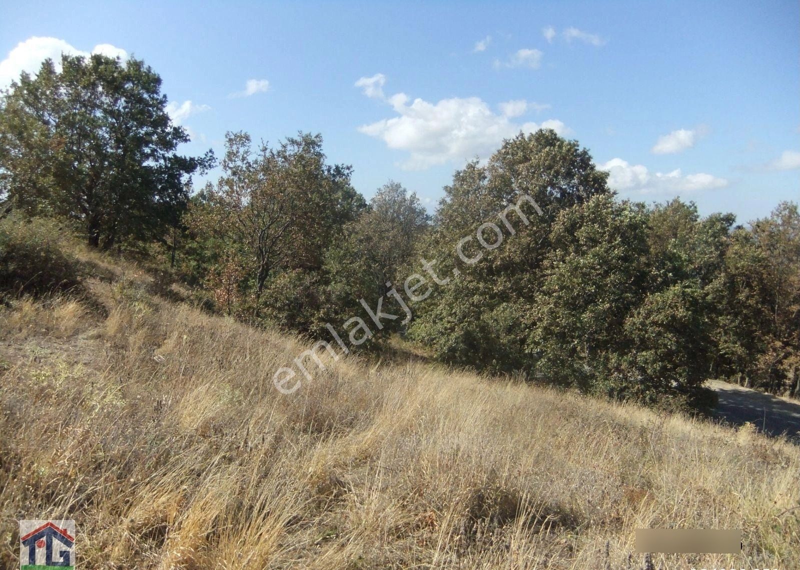 İznik/osmaniye Köyünde Satılık 3487m2 Ve 8067m2 Tarlalar. - Görsel 15