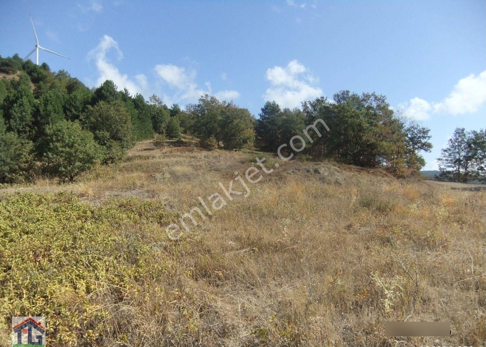İznik/osmaniye Köyünde Satılık 3487m2 Ve 8067m2 Tarlalar. - Görsel 10