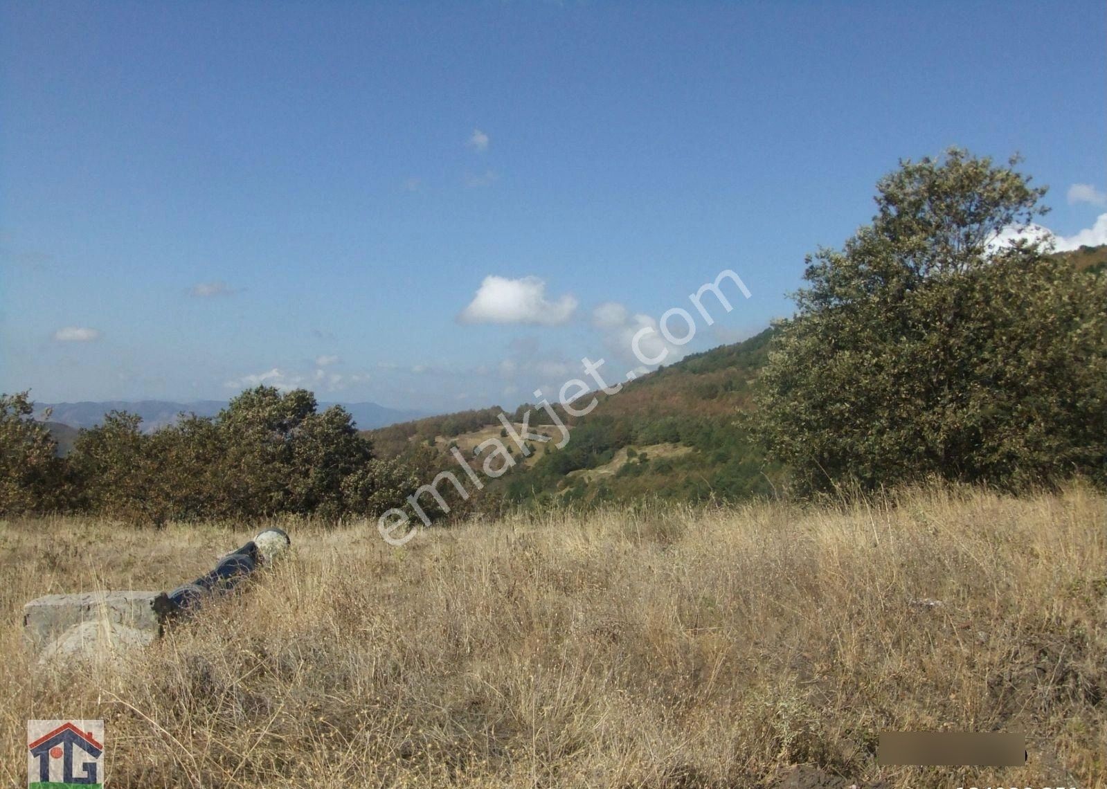 İznik/osmaniye Köyünde Satılık 3487m2 Ve 8067m2 Tarlalar. - Görsel 3