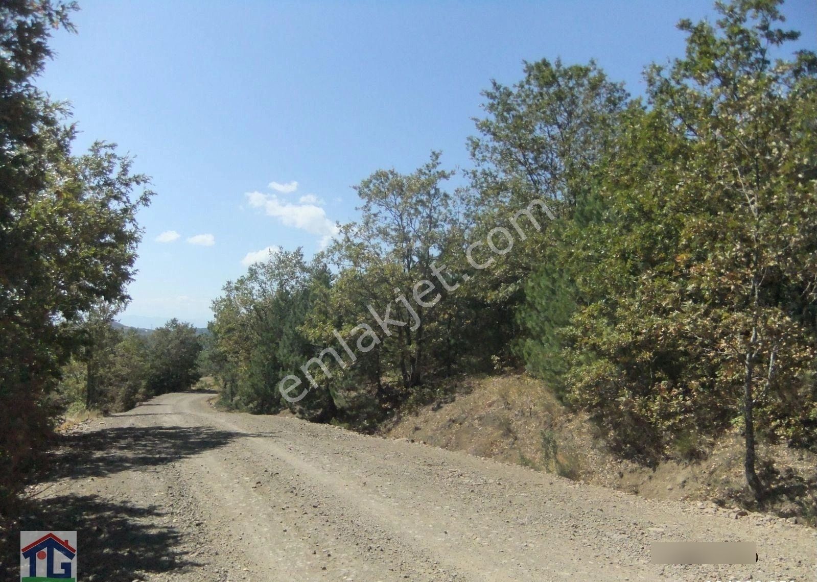 İznik/osmaniye Köyünde Satılık 3487m2 Ve 8067m2 Tarlalar. - Görsel 30
