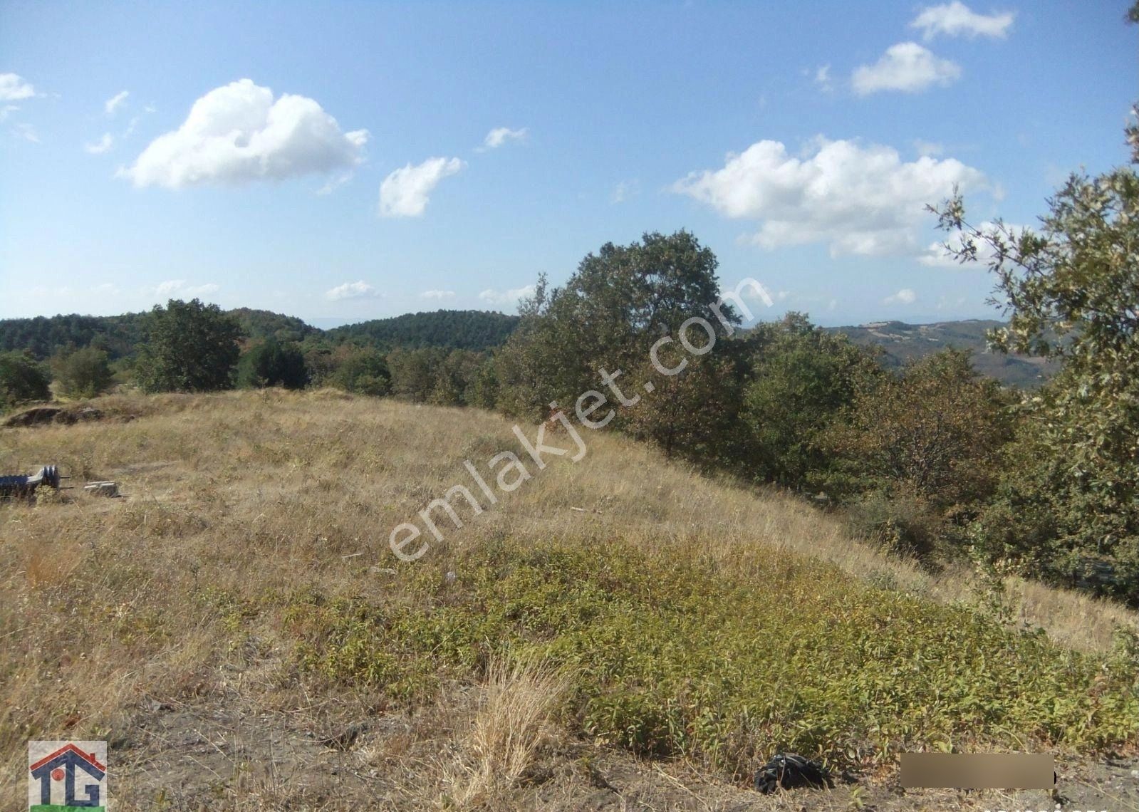 İznik/osmaniye Köyünde Satılık 3487m2 Ve 8067m2 Tarlalar. - Görsel 13