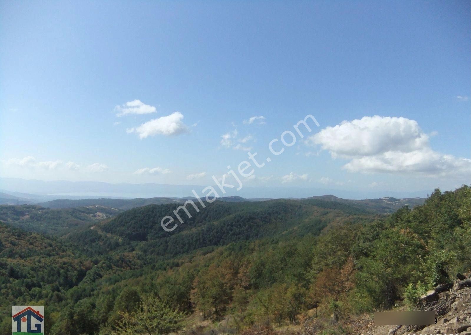 İznik/osmaniye Köyünde Satılık 1990m2 Ve 5660m2 Tarlalar. - Görsel 3