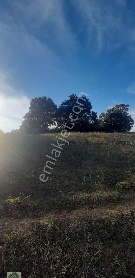 İzmit/gökçeviran'da %5 İmarlı Tarla. - Görsel 3