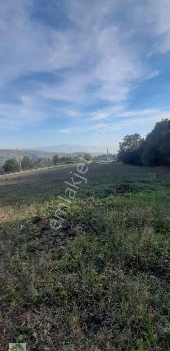 İzmit/gökçeviran'da %5 İmarlı Tarla.