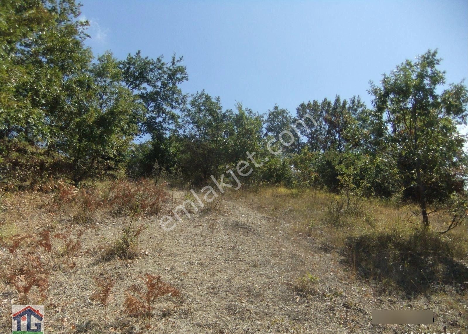 İznik/osmaniye Köyünde Satılık 17031m2, 440m2 Ve 4143m2 Köy İçi İmarlı Tarlalar. - Görsel 18