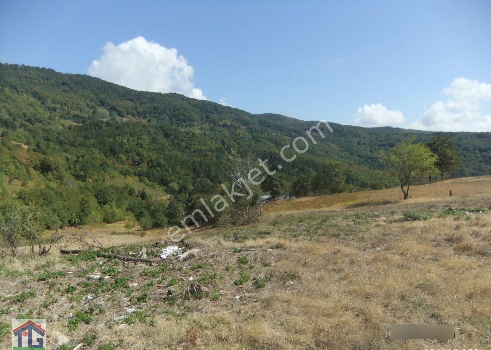 İznik/osmaniye Köyünde Satılık 17031m2, 440m2 Ve 4143m2 Köy İçi İmarlı Tarlalar. - Görsel 16