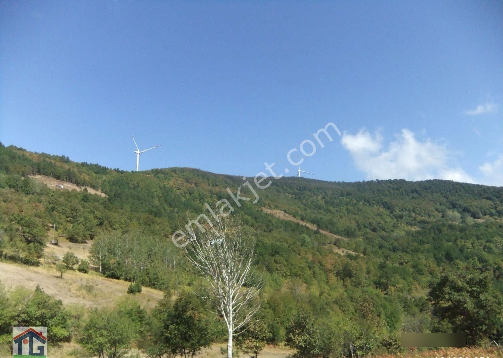 İznik/osmaniye Köyünde Satılık 17031m2, 440m2 Ve 4143m2 Köy İçi İmarlı Tarlalar. - Görsel 11