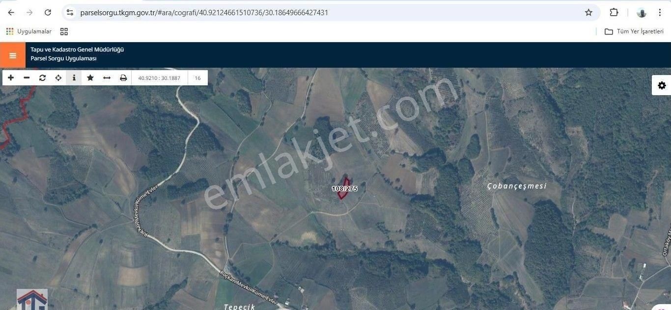 İzmit/bağlıca Köyünde Satılık 2 Parsel Tarla. - Görsel 11