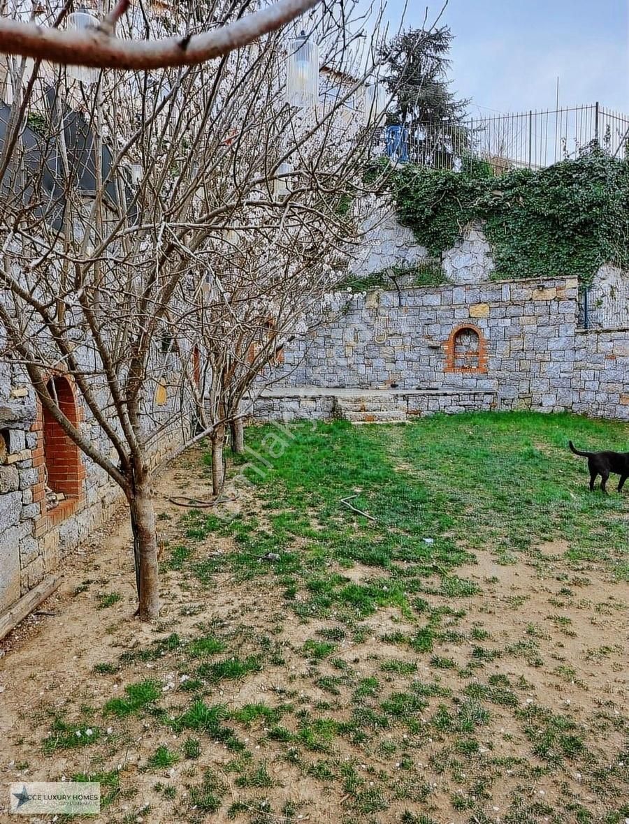 Beykoz Paşabahçe'de Yenilenmiş Bahçeli Müstakil Kiralık Köşk - Görsel 5