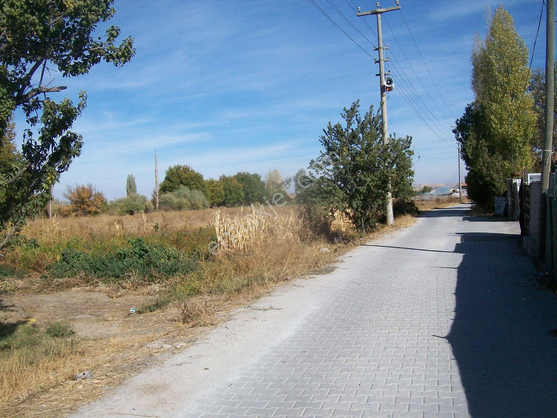 Cahı Mahallesi Adana Konya Yolu Üzerinde Pancar Koop.binasına Yakın - Görsel 5