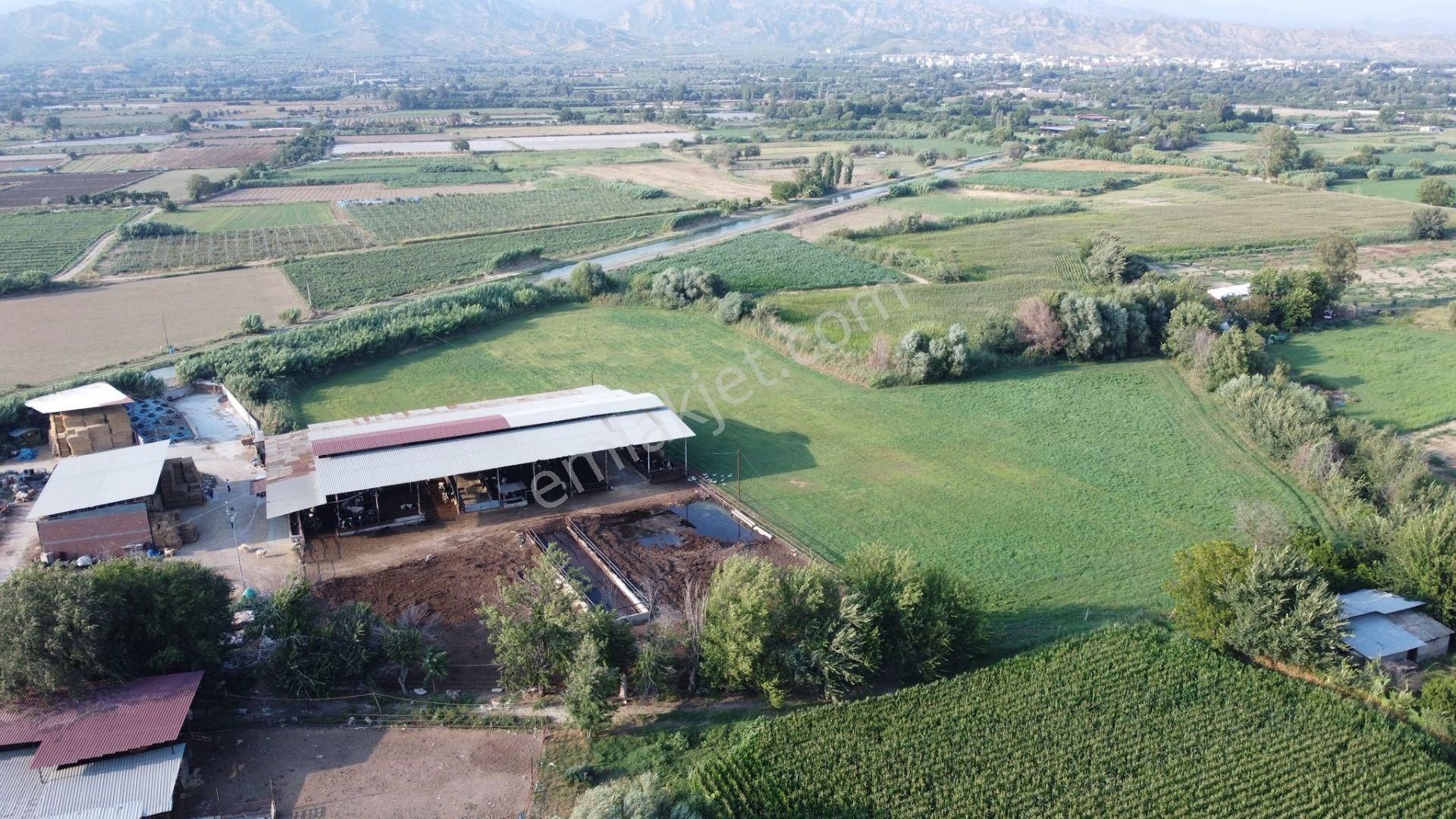 🛑 Sağımlık Veya Besilik Hayvancılık Yapmak İsteyenler İçin Kaçırılmaz Fırsat! - Görsel 3