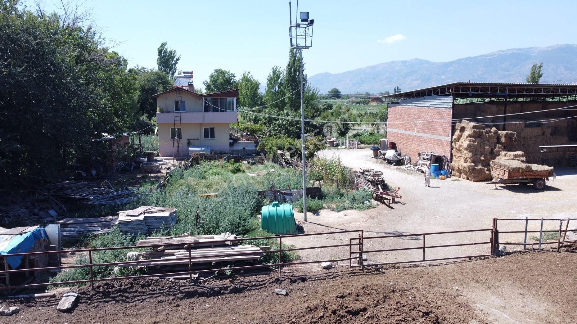 🛑 Sağımlık Veya Besilik Hayvancılık Yapmak İsteyenler İçin Kaçırılmaz Fırsat! - Görsel 20