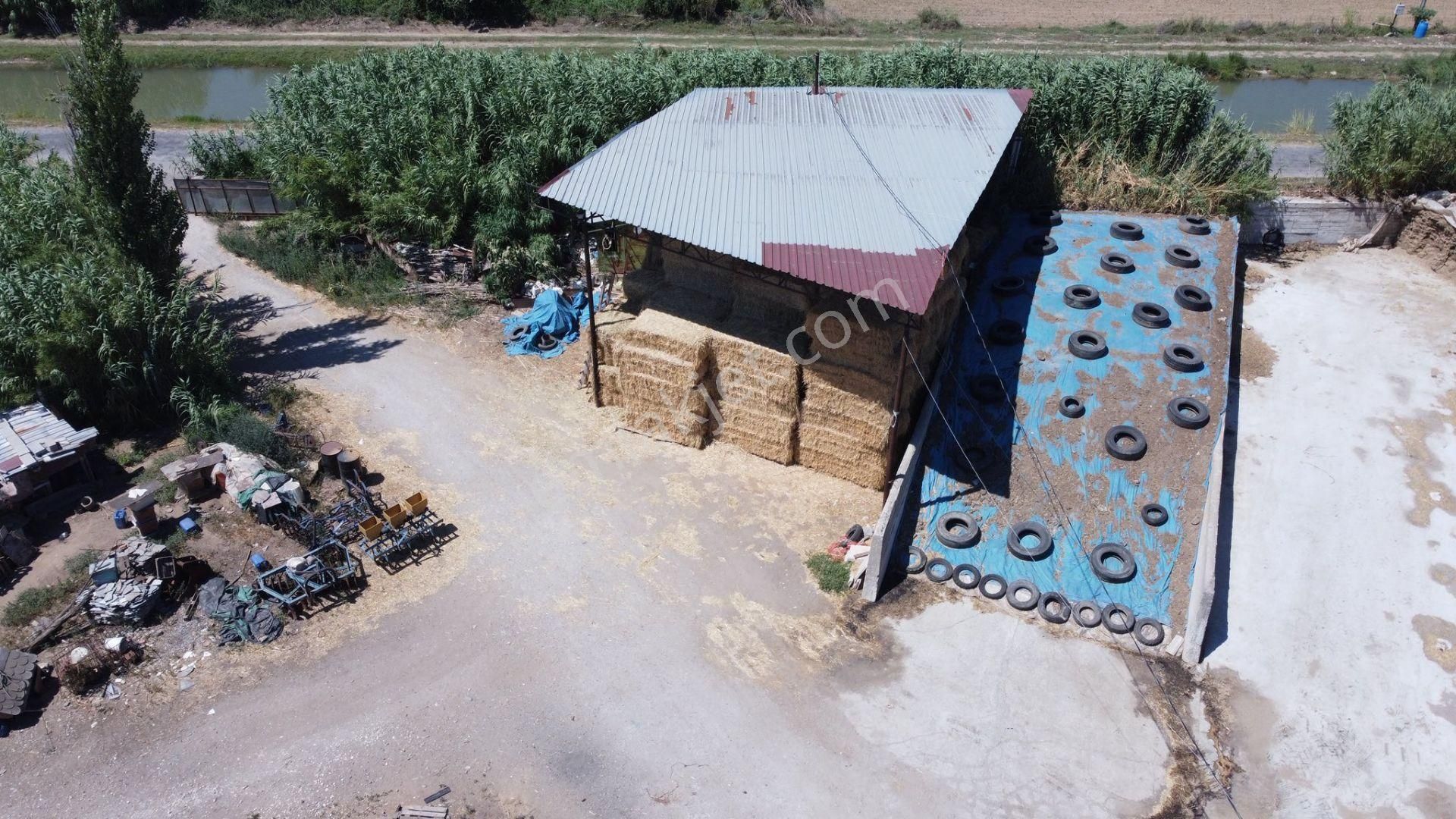 🛑 Sağımlık Veya Besilik Hayvancılık Yapmak İsteyenler İçin Kaçırılmaz Fırsat! - Görsel 15