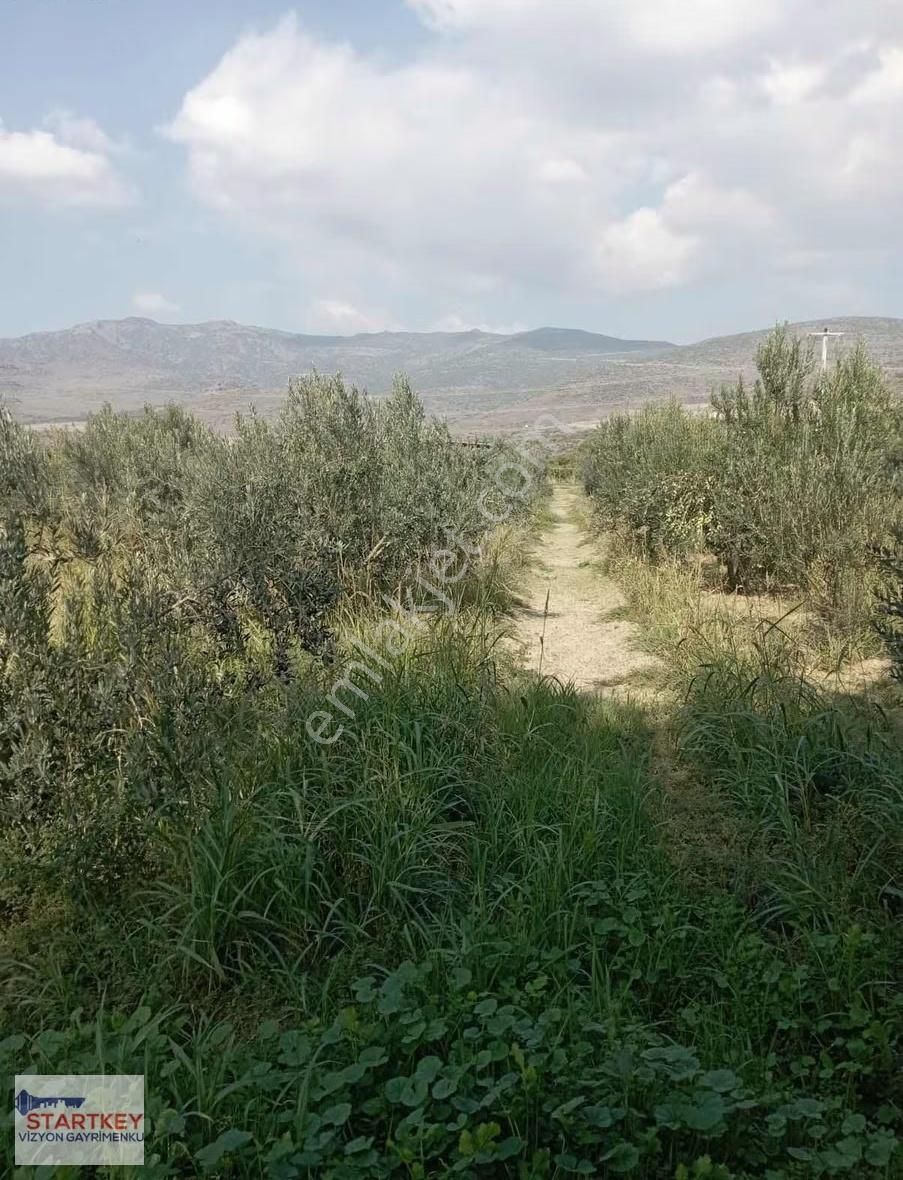 Menemen Doğa Köyde Bahçe - Görsel 4