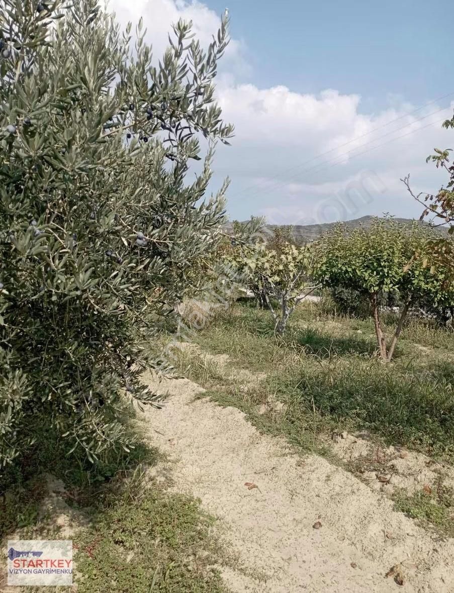 Menemen Doğa Köyde Bahçe - Görsel 15