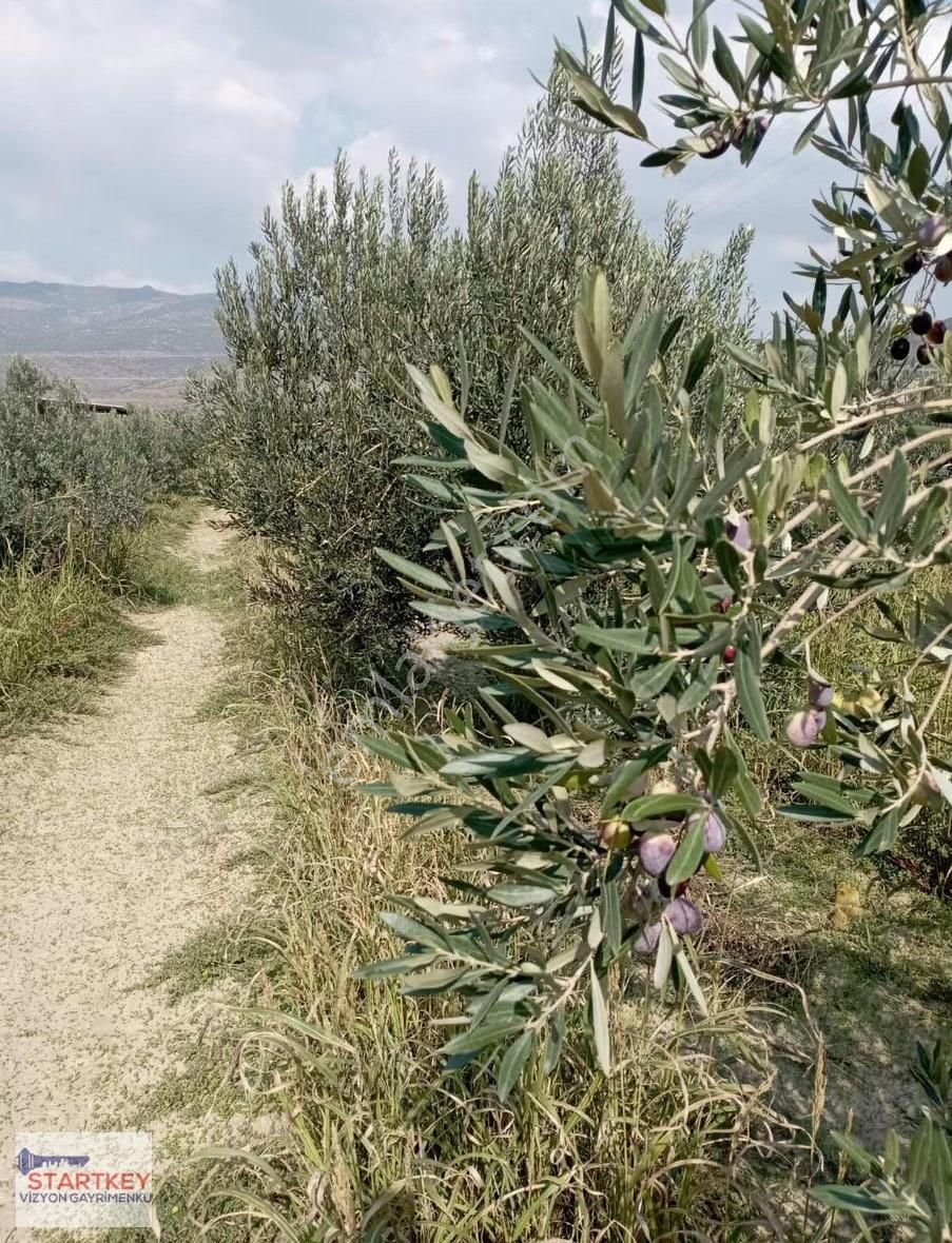 Menemen Doğa Köyde Bahçe - Görsel 9