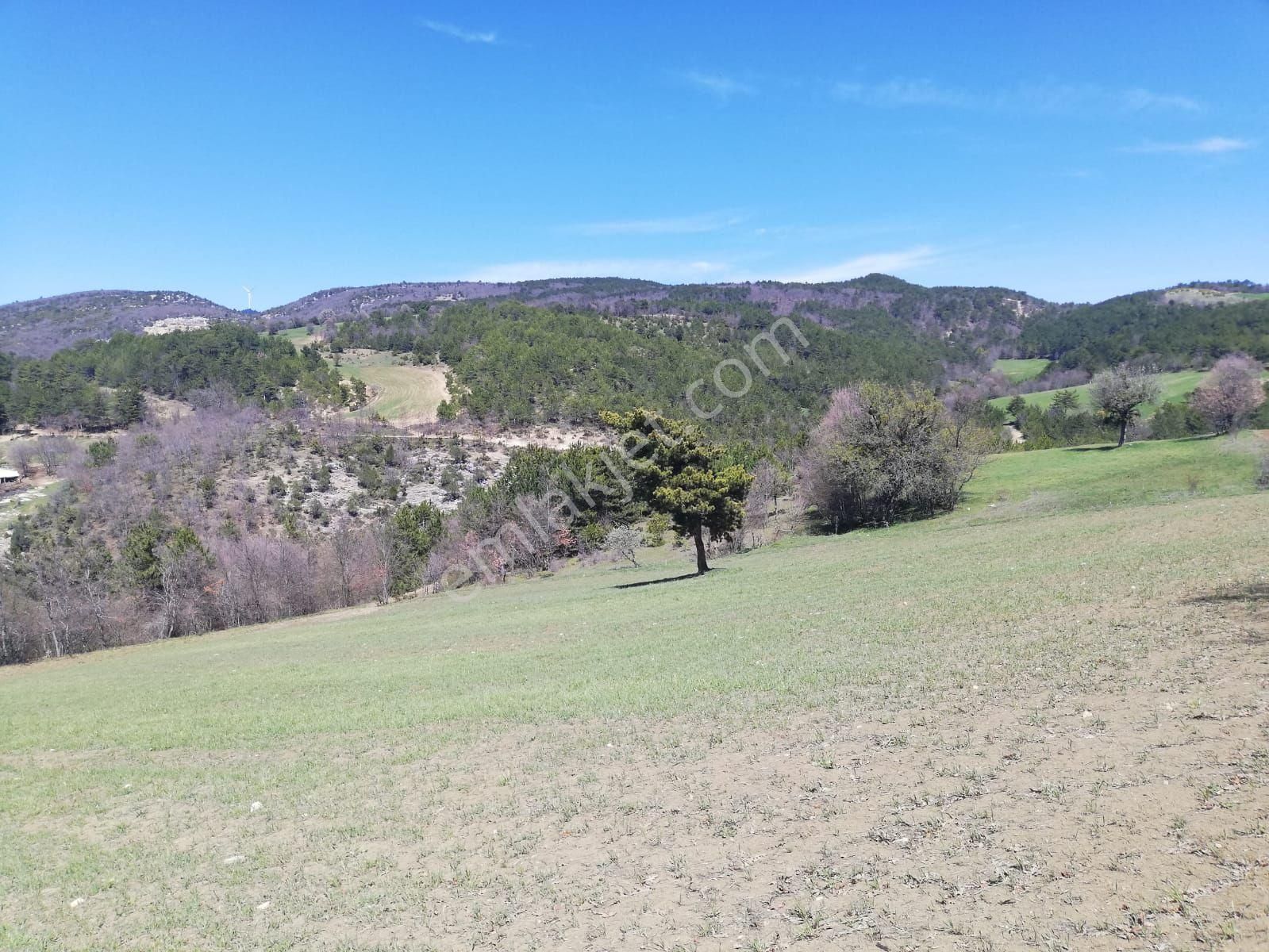 Sakarya Taraklı Dışded - Görsel 7