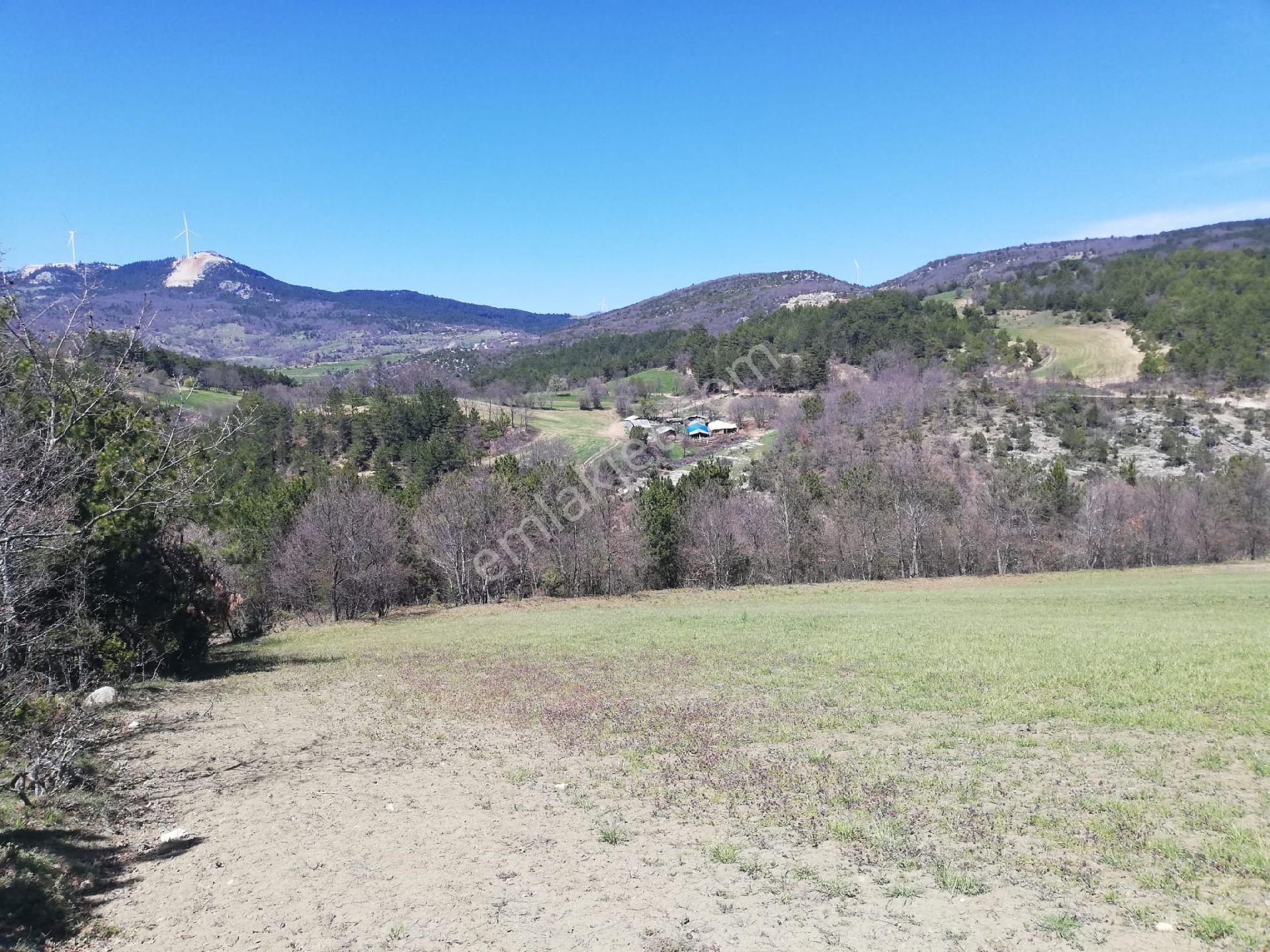 Sakarya Taraklı Dışded - Görsel 6