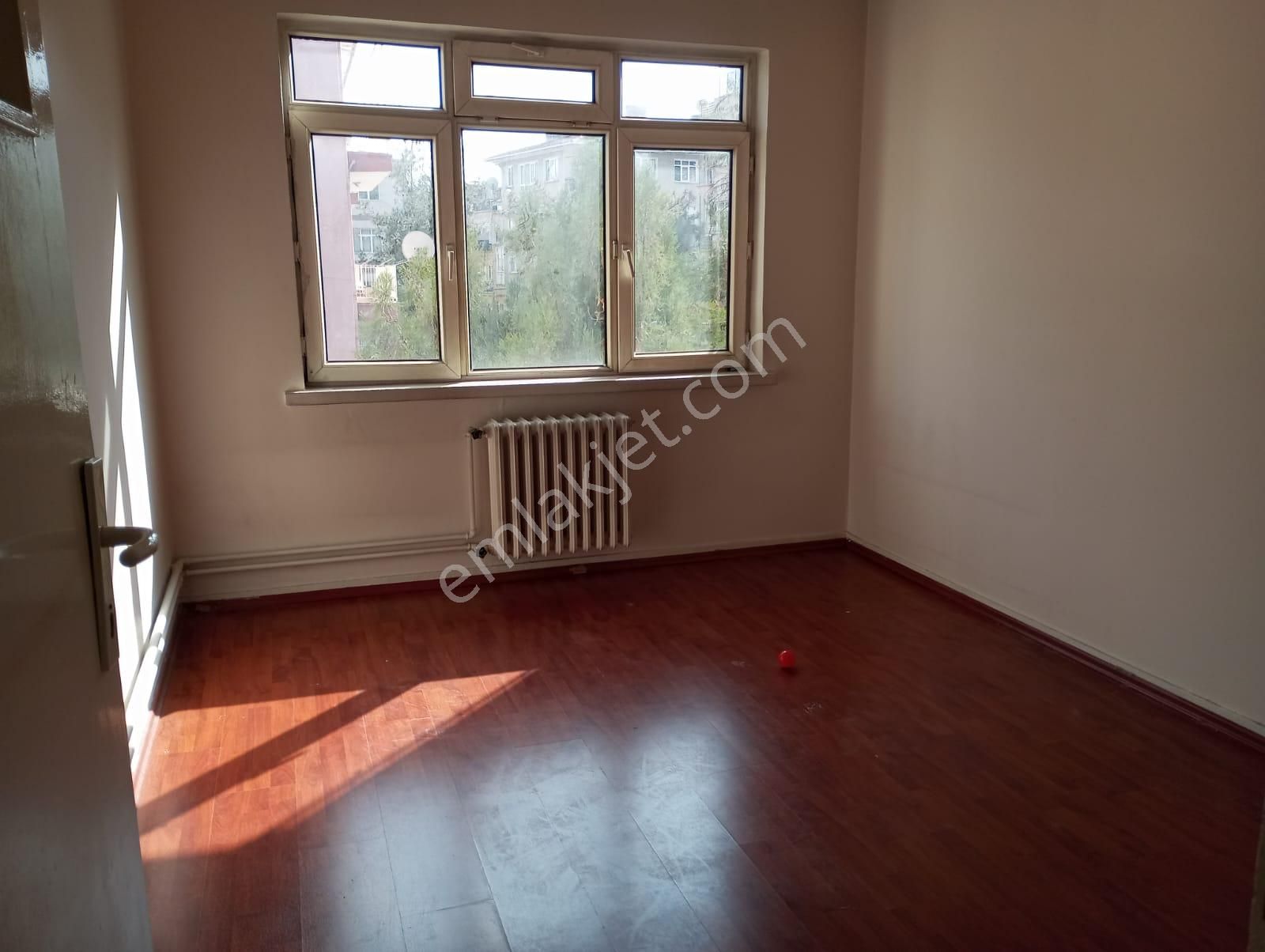 Neon Dan Aşagı Eglencede Bagımsız Salon Orta Kat Güney Cephe Kiralık - Görsel 17