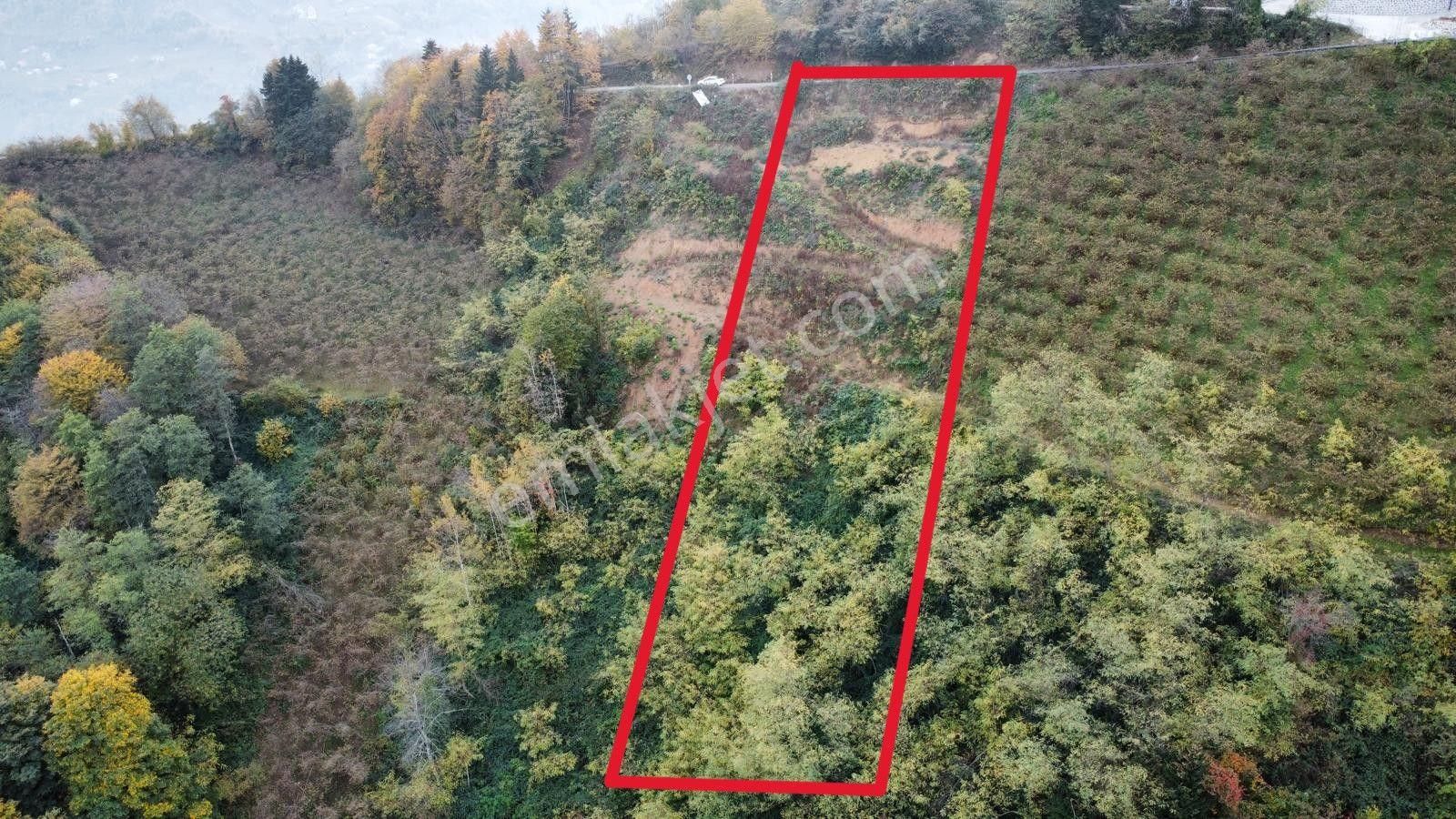 Trabzon'da Satılık Arazi - Görsel 4