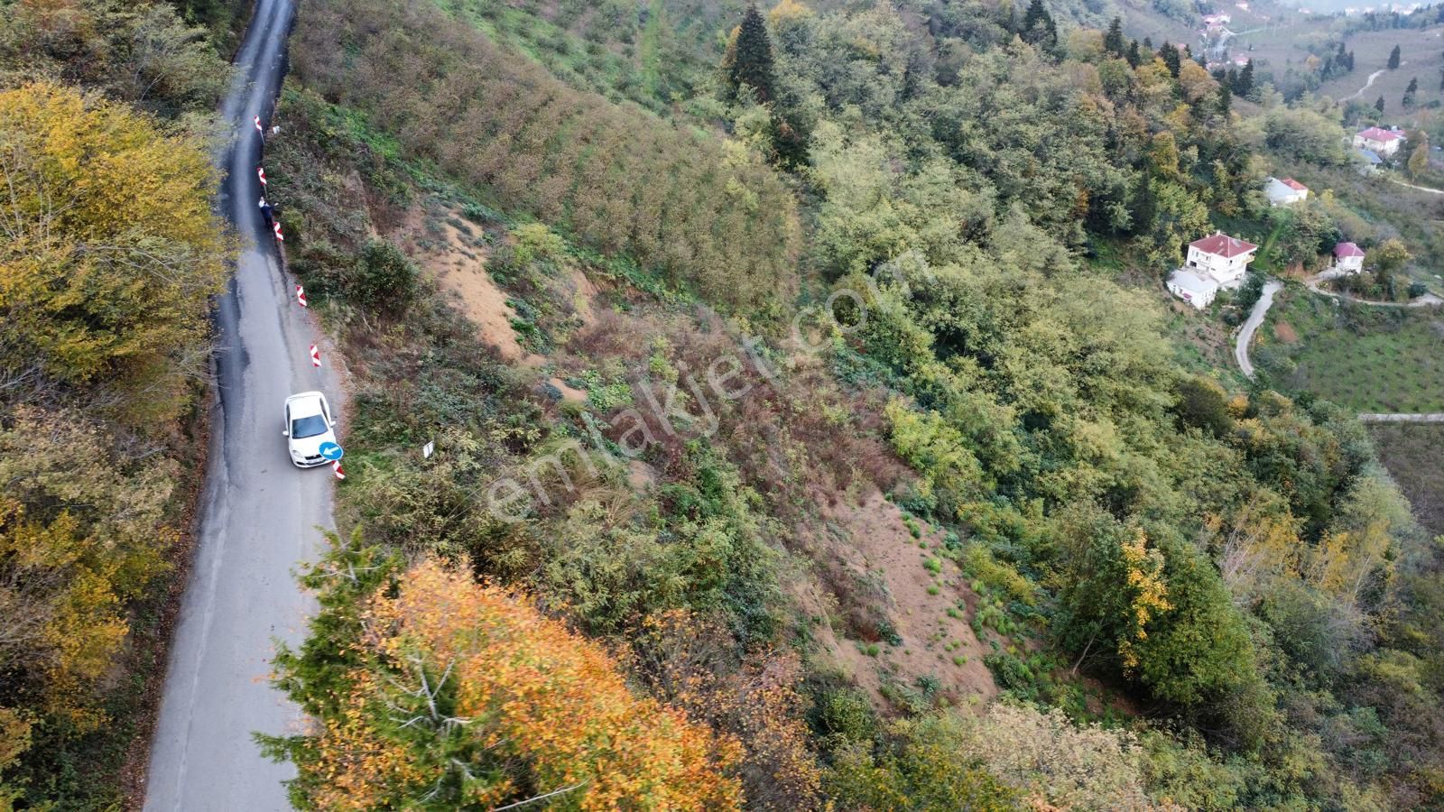Trabzon'da Satılık Arazi - Görsel 26
