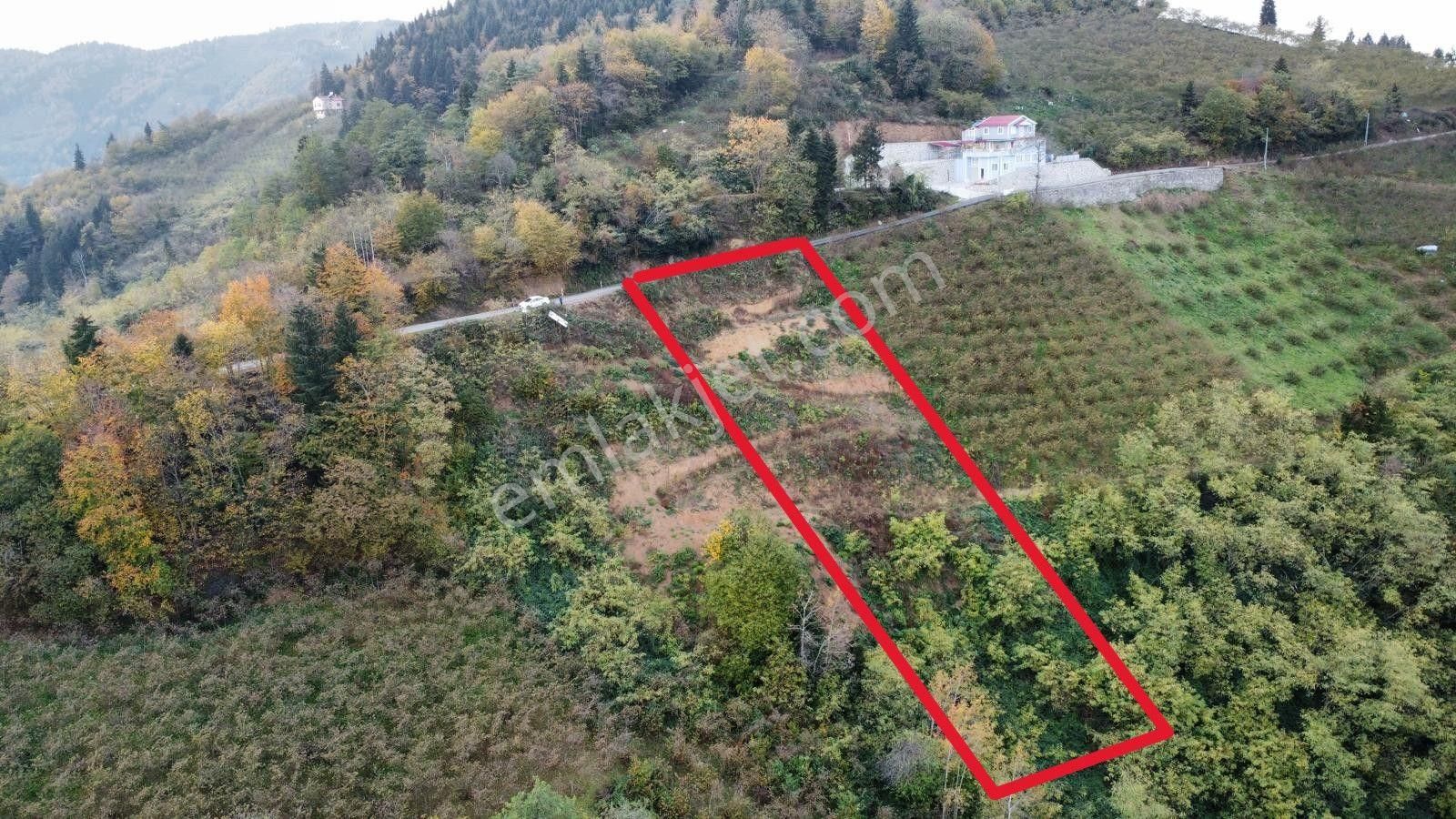 Trabzon'da Satılık Arazi - Görsel 27