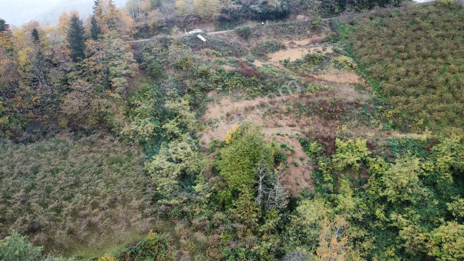 Trabzon'da Satılık Arazi - Görsel 22